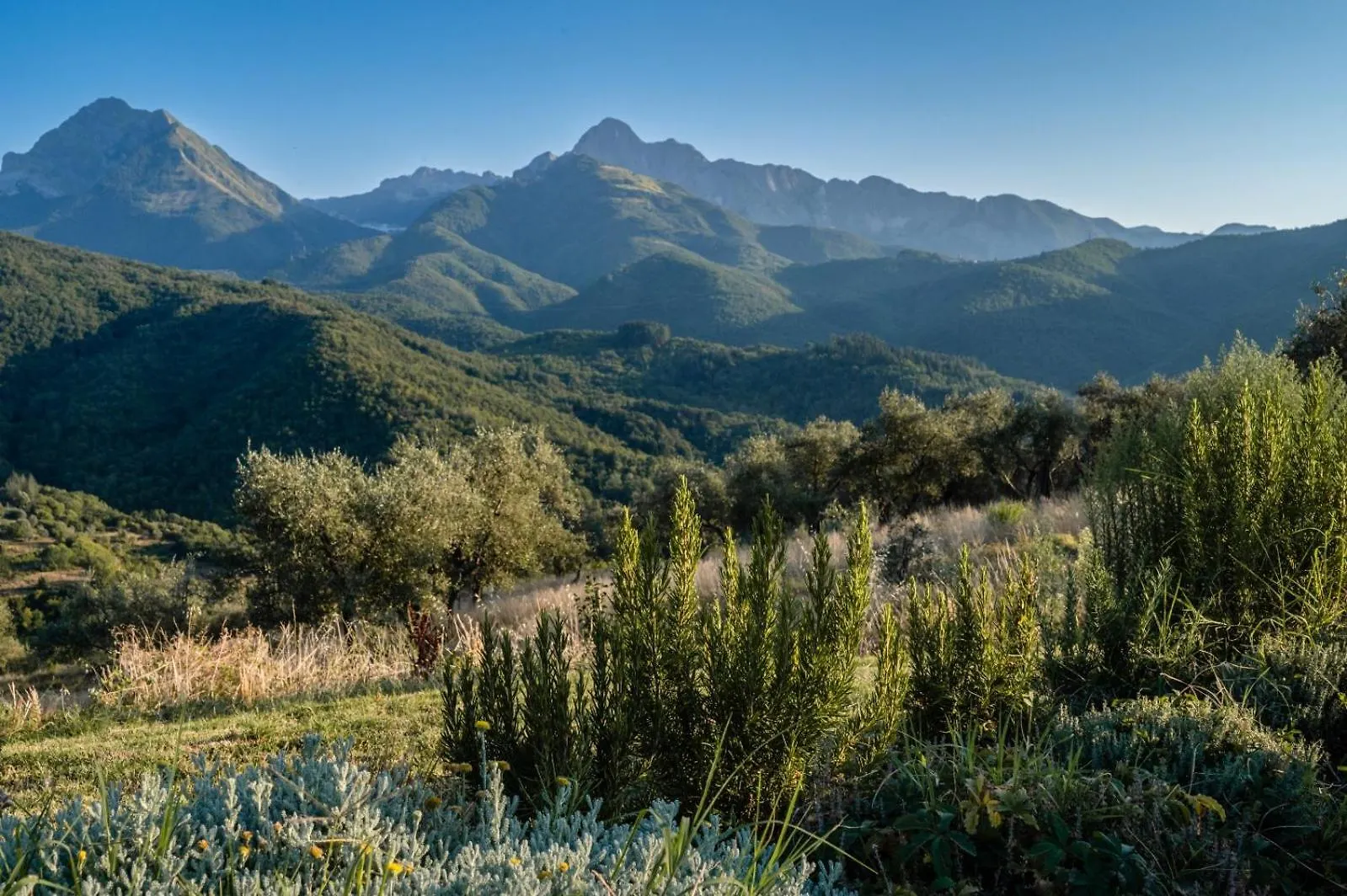 Case Apuane Minucciano Holiday home